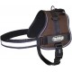 Nobby Nylon Seguro Harness, X-Large, Black Nobby Nylon Seguro Harness, X-Large, Black