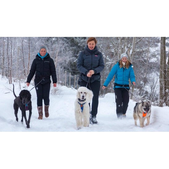 Non-Stop Dogwear Half Harness (3) Non-Stop Dogwear Half Harness (3)