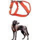 Non-Stop Dogwear Half Harness (3) Non-Stop Dogwear Half Harness (3)