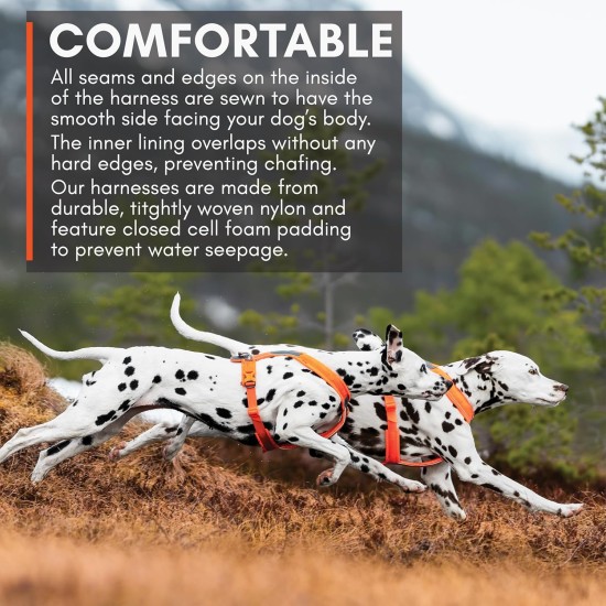 Non-Stop Dogwear Half Harness (3) Non-Stop Dogwear Half Harness (3)