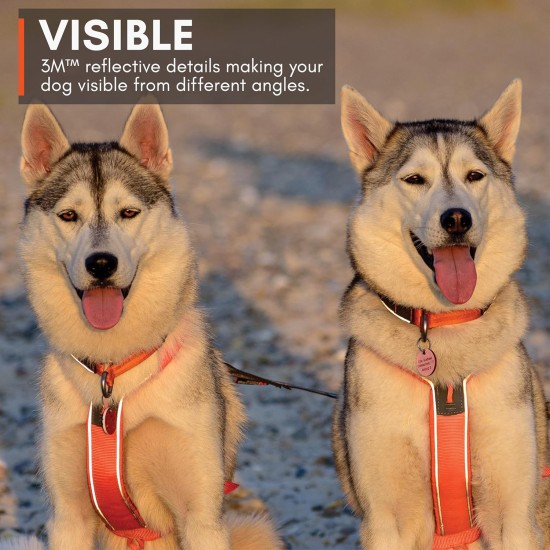 Non-Stop Dogwear Half Harness (3) Non-Stop Dogwear Half Harness (3)
