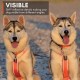 Non-Stop Dogwear Half Harness (3) Non-Stop Dogwear Half Harness (3)