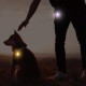Novkin Rechargeable 2 Pack Dog Light, Waterproof LED Dog Collar Light Attach to Collar, Lead or Strap, Safety Light for Night Hiking, Camping Novkin Rechargeable 2 Pack Dog Light, Waterproof LED Dog Collar Light Attach to Collar, Lead or Strap, Safety Light for Night Hiking, Camping