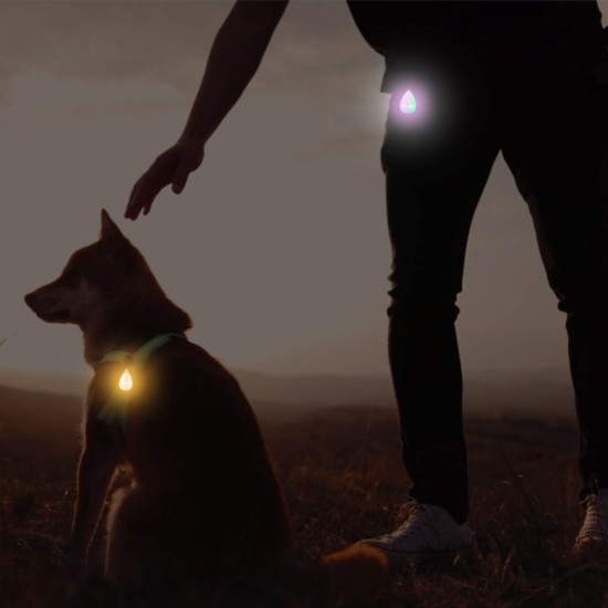Novkin Rechargeable 2 Pack Dog Light, Waterproof LED Dog Collar Light Attach to Collar, Lead or Strap, Safety Light for Night Hiking, Camping Novkin Rechargeable 2 Pack Dog Light, Waterproof LED Dog Collar Light Attach to Collar, Lead or Strap, Safety Light for Night Hiking, Camping