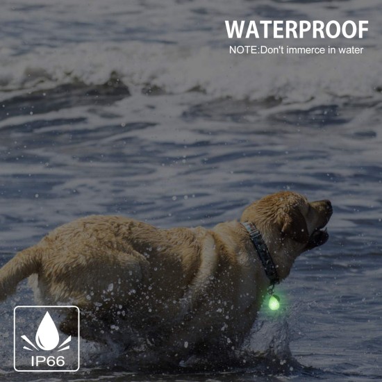 Novkin Rechargeable 2 Pack Dog Light, Waterproof LED Dog Collar Light Attach to Collar, Lead or Strap, Safety Light for Night Hiking, Camping Novkin Rechargeable 2 Pack Dog Light, Waterproof LED Dog Collar Light Attach to Collar, Lead or Strap, Safety Light for Night Hiking, Camping