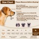 Nylon Muzzle for Small Medium Large Dogs, Breathable and Drinkable Muzzle for Barking and Anti-Barking (Black, M) Nylon Muzzle for Small Medium Large Dogs, Breathable and Drinkable Muzzle for Barking and Anti-Barking (Black, M)