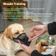 Nylon Muzzle for Small Medium Large Dogs, Breathable and Drinkable Muzzle for Barking and Anti-Barking (Black, M) Nylon Muzzle for Small Medium Large Dogs, Breathable and Drinkable Muzzle for Barking and Anti-Barking (Black, M)