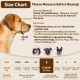 Nylon Muzzle for Small Medium Large Dogs, Breathable and Drinkable Muzzle for Barking and Anti-Barking (Grey, M) Nylon Muzzle for Small Medium Large Dogs, Breathable and Drinkable Muzzle for Barking and Anti-Barking (Grey, M)