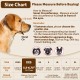 Nylon Muzzle for Small Medium Large Dogs, Breathable and Drinkable Muzzle for Barking and Anti-Barking (Grey, M) Nylon Muzzle for Small Medium Large Dogs, Breathable and Drinkable Muzzle for Barking and Anti-Barking (Grey, M)