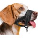 Ohcozzy Dog Muzzle Soft Leather Reflective for Medium Large Dogs Durable Dog Mouth Guard Anti Bark Chew Safety Adjustable Size M Black Ohcozzy Dog Muzzle Soft Leather Reflective for Medium Large Dogs Durable Dog Mouth Guard Anti Bark Chew Safety Adjustable Size M Black