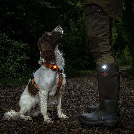 Orbiloc Dog Dual LED Light for Dogs Orbiloc Dog Dual LED Light for Dogs