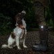 Orbiloc Dog Dual LED Light for Dogs