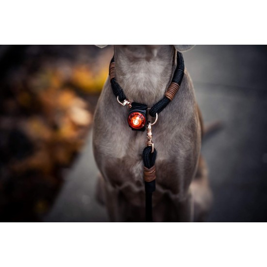 Orbiloc Dog Dual LED Light for Dogs Orbiloc Dog Dual LED Light for Dogs