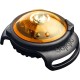 Orbiloc Dog Dual LED Light for Dogs