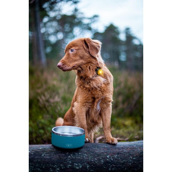 Orbiloc Dog Dual LED Light for Dogs Orbiloc Dog Dual LED Light for Dogs