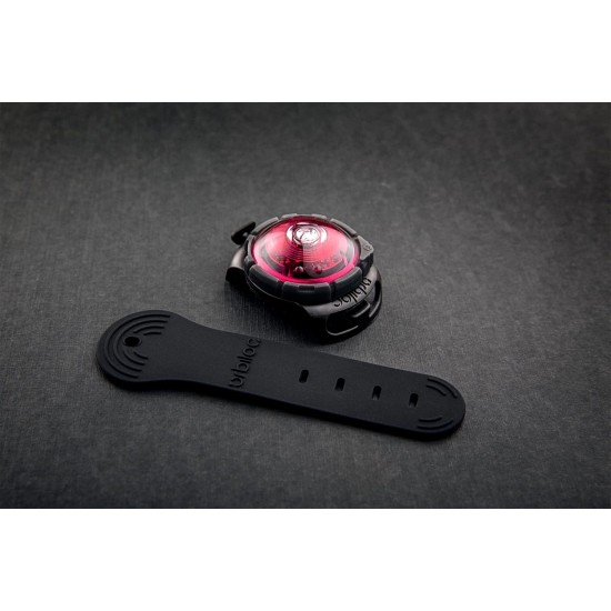 Orbiloc Dog Dual LED Light for Dogs Orbiloc Dog Dual LED Light for Dogs