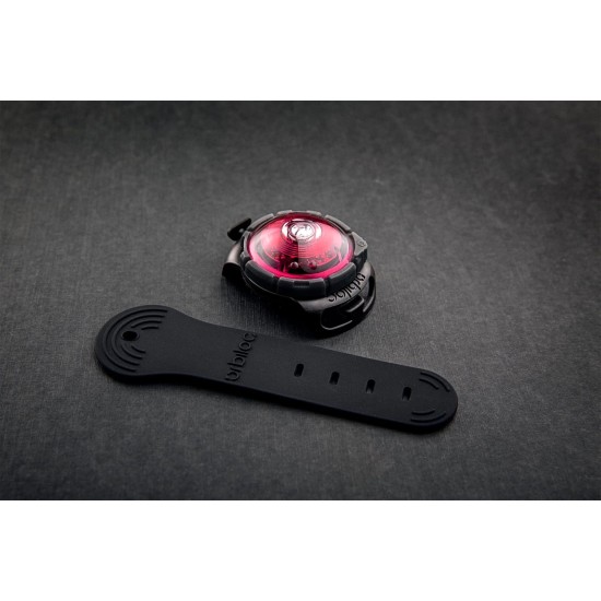 Orbiloc Dog Dual LED Light for Dogs Orbiloc Dog Dual LED Light for Dogs
