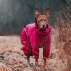 Orbiloc Dog Dual LED Light for Dogs