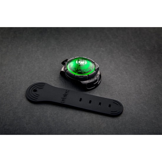 Orbiloc Dog Dual LED Light for Dogs Orbiloc Dog Dual LED Light for Dogs