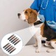 Pack of 10 Mini 1.25 mm Microchip for Dogs and Cats, Lightweight Label Glass Tube Mini Lightweight for Identification Chip Glass Tube Animal Tag Reader Pets for Pet Dog Cat Cow Pig Pack of 10 Mini 1.25 mm Microchip for Dogs and Cats, Lightweight Label Glass Tube Mini Lightweight for Identification Chip Glass Tube Animal Tag Reader Pets for Pet Dog Cat Cow Pig