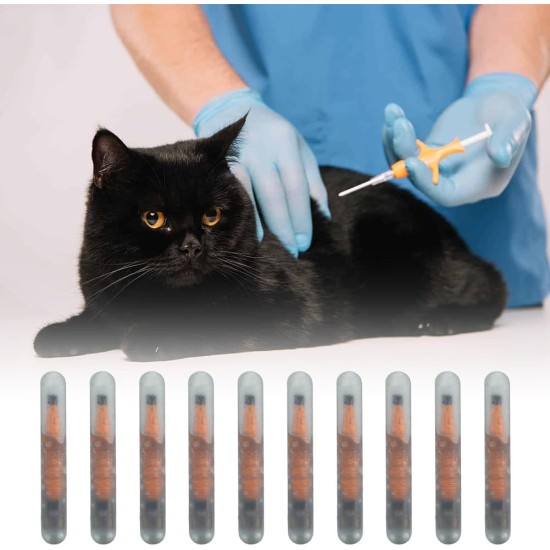 Pack of 10 Mini 1.25 mm Microchip for Dogs and Cats, Lightweight Label Glass Tube Mini Lightweight for Identification Chip Glass Tube Animal Tag Reader Pets for Pet Dog Cat Cow Pig Pack of 10 Mini 1.25 mm Microchip for Dogs and Cats, Lightweight Label Glass Tube Mini Lightweight for Identification Chip Glass Tube Animal Tag Reader Pets for Pet Dog Cat Cow Pig