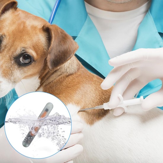 Pack of 10 Mini 1.25 mm Microchip for Dogs and Cats, Lightweight Label Glass Tube Mini Lightweight for Identification Chip Glass Tube Animal Tag Reader Pets for Pet Dog Cat Cow Pig Pack of 10 Mini 1.25 mm Microchip for Dogs and Cats, Lightweight Label Glass Tube Mini Lightweight for Identification Chip Glass Tube Animal Tag Reader Pets for Pet Dog Cat Cow Pig