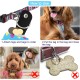 Pack of 2 Dog Tag Bag with Press Stud, Dog Tag, Military Dog ID Silencer, Ring Dog Silencer Delivered, Dog Tags, Address Tags for Dogs, Cats, ID Tag, Dog Tag, Animal Tag, Colourful Pack of 2 Dog Tag Bag with Press Stud, Dog Tag, Military Dog ID Silencer, Ring Dog Silencer Delivered, Dog Tags, Address Tags for Dogs, Cats, ID Tag, Dog Tag, Animal Tag, Colourful