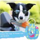 Pack of 2 Dog Tag Bag with Press Stud, Dog Tag, Military Dog ID Silencer, Ring Dog Silencer Delivered, Dog Tags, Address Tags for Dogs, Cats, ID Tag, Dog Tag, Animal Tag, Colourful Pack of 2 Dog Tag Bag with Press Stud, Dog Tag, Military Dog ID Silencer, Ring Dog Silencer Delivered, Dog Tags, Address Tags for Dogs, Cats, ID Tag, Dog Tag, Animal Tag, Colourful
