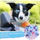 Pack of 2 Dog Tag Bag with Press Stud, Dog Tag, Military Dog ID Silencer, Ring Dog Silencer Delivered, Dog Tags, Address Tags for Dogs, Cats, ID Tag, Dog Tag, Animal Tag, Colourful Pack of 2 Dog Tag Bag with Press Stud, Dog Tag, Military Dog ID Silencer, Ring Dog Silencer Delivered, Dog Tags, Address Tags for Dogs, Cats, ID Tag, Dog Tag, Animal Tag, Colourful