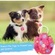 Pack of 2 Dog Tag Bag with Press Stud, Dog Tag, Military Dog ID Silencer, Ring Dog Silencer Delivered, Dog Tags, Address Tags for Dogs, Cats, ID Tag, Dog Tag, Animal Tag, Colourful Pack of 2 Dog Tag Bag with Press Stud, Dog Tag, Military Dog ID Silencer, Ring Dog Silencer Delivered, Dog Tags, Address Tags for Dogs, Cats, ID Tag, Dog Tag, Animal Tag, Colourful