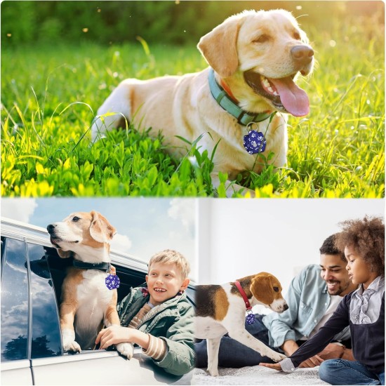 Pack of 2 Dog Tag Bag with Press Stud, Dog Tag, Military Dog ID Silencer, Ring Dog Silencer Delivered, Dog Tags, Address Tags for Dogs, Cats, ID Tag, Dog Tag, Animal Tag, Colourful Pack of 2 Dog Tag Bag with Press Stud, Dog Tag, Military Dog ID Silencer, Ring Dog Silencer Delivered, Dog Tags, Address Tags for Dogs, Cats, ID Tag, Dog Tag, Animal Tag, Colourful