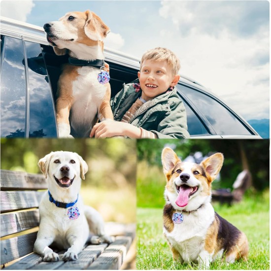 Pack of 2 Dog Tag Bag with Press Stud, Dog Tag, Military Dog ID Silencer, Ring Dog Silencer Delivered, Dog Tags, Address Tags for Dogs, Cats, ID Tag, Dog Tag, Animal Tag, Colourful Pack of 2 Dog Tag Bag with Press Stud, Dog Tag, Military Dog ID Silencer, Ring Dog Silencer Delivered, Dog Tags, Address Tags for Dogs, Cats, ID Tag, Dog Tag, Animal Tag, Colourful
