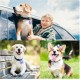 Pack of 2 Dog Tag Bag with Press Stud, Dog Tag, Military Dog ID Silencer, Ring Dog Silencer Delivered, Dog Tags, Address Tags for Dogs, Cats, ID Tag, Dog Tag, Animal Tag, Colourful Pack of 2 Dog Tag Bag with Press Stud, Dog Tag, Military Dog ID Silencer, Ring Dog Silencer Delivered, Dog Tags, Address Tags for Dogs, Cats, ID Tag, Dog Tag, Animal Tag, Colourful