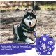 Pack of 2 Dog Tag Bag with Press Stud, Dog Tag, Military Dog ID Silencer, Ring Dog Silencer Delivered, Dog Tags, Address Tags for Dogs, Cats, ID Tag, Dog Tag, Animal Tag, Colourful Pack of 2 Dog Tag Bag with Press Stud, Dog Tag, Military Dog ID Silencer, Ring Dog Silencer Delivered, Dog Tags, Address Tags for Dogs, Cats, ID Tag, Dog Tag, Animal Tag, Colourful