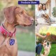 Pack of 2 Dog Tag Bag with Press Stud, Dog Tag, Military Dog ID Silencer, Ring Dog Silencer Delivered, Dog Tags, Address Tags for Dogs, Cats, ID Tag, Dog Tag, Animal Tag, Colourful Pack of 2 Dog Tag Bag with Press Stud, Dog Tag, Military Dog ID Silencer, Ring Dog Silencer Delivered, Dog Tags, Address Tags for Dogs, Cats, ID Tag, Dog Tag, Animal Tag, Colourful
