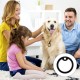 Pack of 20 Silicone Dog Tags Military Dog ID Silencer Dog Tag Silencer Ring Military Dog Tag Silencer Pack of 20 Silicone Dog Tags Military Dog ID Silencer Dog Tag Silencer Ring Military Dog Tag Silencer
