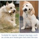 Pack of 20 Silicone Dog Tags Military Dog ID Silencer Dog Tag Silencer Ring Military Dog Tag Silencer Pack of 20 Silicone Dog Tags Military Dog ID Silencer Dog Tag Silencer Ring Military Dog Tag Silencer
