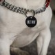 Pack of 25 Stamps, Blank Tags, Aluminium Alloy Round Tag with Hole, Pets Blank Tag, Traction Rope Pendant, Accessories for Puppies, Pets, DIY, 3.5 cm/1.4 Inches