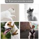 Pack of 4 Pet ID Tags, Address Tags for Dogs, Cats, Pet ID Address Tag, Waterproof, Collar Pendant for Cat and Dog, Prevent Loss of Pets Pack of 4 Pet ID Tags, Address Tags for Dogs, Cats, Pet ID Address Tag, Waterproof, Collar Pendant for Cat and Dog, Prevent Loss of Pets