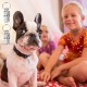 Pack of 4 Pet ID Tags, Address Tags for Dogs, Cats, Pet ID Address Tag, Waterproof, Collar Pendant for Cat and Dog, Prevent Loss of Pets Pack of 4 Pet ID Tags, Address Tags for Dogs, Cats, Pet ID Address Tag, Waterproof, Collar Pendant for Cat and Dog, Prevent Loss of Pets