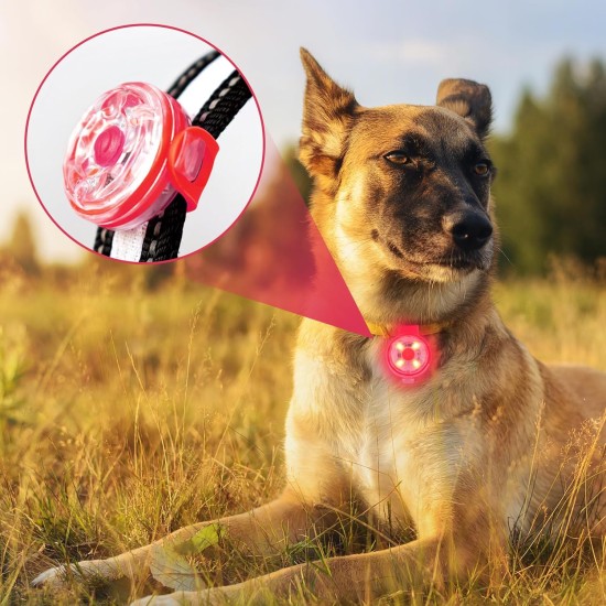 Pack of 4 Safety Pet Lights, Sporgo LED Flashing Light for Dogs Cats, USB Rechargeable Safety Light, LED Light Pendant, Dog, Waterproof Pet Lights with 3 Flashing Modes Pack of 4 Safety Pet Lights, Sporgo LED Flashing Light for Dogs Cats, USB Rechargeable Safety Light, LED Light Pendant, Dog, Waterproof Pet Lights with 3 Flashing Modes