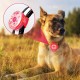 Pack of 4 Safety Pet Lights, Sporgo LED Flashing Light for Dogs Cats, USB Rechargeable Safety Light, LED Light Pendant, Dog, Waterproof Pet Lights with 3 Flashing Modes Pack of 4 Safety Pet Lights, Sporgo LED Flashing Light for Dogs Cats, USB Rechargeable Safety Light, LED Light Pendant, Dog, Waterproof Pet Lights with 3 Flashing Modes