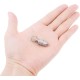 Pack of 5 Address Tags Cat Collar Dog Collar for Cats Dogs Small Dog Tag Animal Tag Identity Tag Address Labels Pill Box Address Sleeve Address Capsule ID Tag for Labelling Pack of 5 Address Tags Cat Collar Dog Collar for Cats Dogs Small Dog Tag Animal Tag Identity Tag Address Labels Pill Box Address Sleeve Address Capsule ID Tag for Labelling