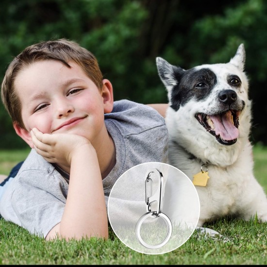 Pack of 6 Dog Tag Clips Pet ID Tag Clips with 18 Pieces Durable Stainless Steel Rings Personalised Clips Pet ID Tag Holder for Cats Dogs Collars Harnesses in 3 Sizes Pack of 6 Dog Tag Clips Pet ID Tag Clips with 18 Pieces Durable Stainless Steel Rings Personalised Clips Pet ID Tag Holder for Cats Dogs Collars Harnesses in 3 Sizes