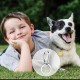 Pack of 6 Dog Tag Clips Pet ID Tag Clips with 18 Pieces Durable Stainless Steel Rings Personalised Clips Pet ID Tag Holder for Cats Dogs Collars Harnesses in 3 Sizes Pack of 6 Dog Tag Clips Pet ID Tag Clips with 18 Pieces Durable Stainless Steel Rings Personalised Clips Pet ID Tag Holder for Cats Dogs Collars Harnesses in 3 Sizes