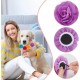 Pack of 8 8 Colours Dog Collar for Pet Shows, Flowers, Colourful Polyester, Soft Flowers, Pets, Cats, Bows, Ornaments, Flower Pendants for Puppies, Cats, Dogs Pack of 8 8 Colours Dog Collar for Pet Shows, Flowers, Colourful Polyester, Soft Flowers, Pets, Cats, Bows, Ornaments, Flower Pendants for Puppies, Cats, Dogs