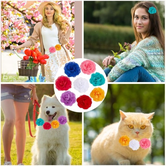 Pack of 8 8 Colours Dog Collar for Pet Shows, Flowers, Colourful Polyester, Soft Flowers, Pets, Cats, Bows, Ornaments, Flower Pendants for Puppies, Cats, Dogs Pack of 8 8 Colours Dog Collar for Pet Shows, Flowers, Colourful Polyester, Soft Flowers, Pets, Cats, Bows, Ornaments, Flower Pendants for Puppies, Cats, Dogs
