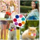 Pack of 8 8 Colours Dog Collar for Pet Shows, Flowers, Colourful Polyester, Soft Flowers, Pets, Cats, Bows, Ornaments, Flower Pendants for Puppies, Cats, Dogs Pack of 8 8 Colours Dog Collar for Pet Shows, Flowers, Colourful Polyester, Soft Flowers, Pets, Cats, Bows, Ornaments, Flower Pendants for Puppies, Cats, Dogs