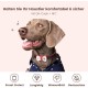 PawView Purple NFC Pet ID Tag - QR Code Anti-Lost Protection for Dogs & Cats, Customizable Smart Tag, Waterproof Silicone, No Subscription Fees PawView Purple NFC Pet ID Tag - QR Code Anti-Lost Protection for Dogs & Cats, Customizable Smart Tag, Waterproof Silicone, No Subscription Fees