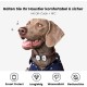 PawView Purple NFC Pet ID Tag - QR Code Anti-Lost Protection for Dogs & Cats, Customizable Smart Tag, Waterproof Silicone, No Subscription Fees PawView Purple NFC Pet ID Tag - QR Code Anti-Lost Protection for Dogs & Cats, Customizable Smart Tag, Waterproof Silicone, No Subscription Fees